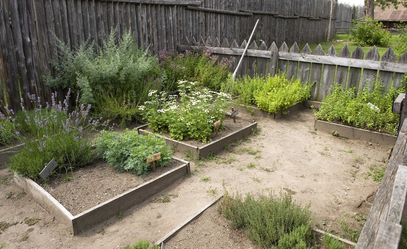 hedge trimming Garden