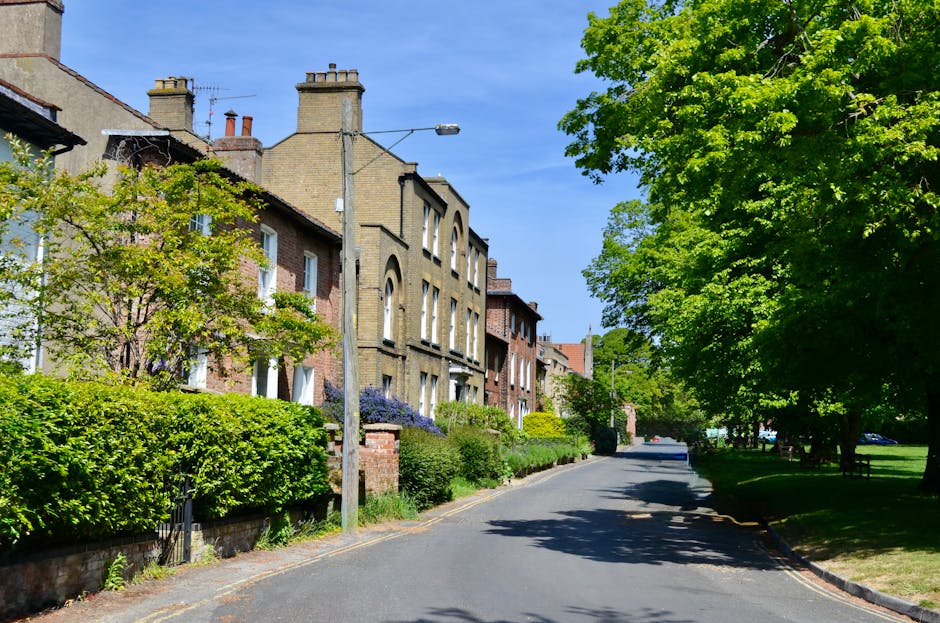 A residential street in Gants Hill with a row of Victorian-style brick houses featuring large windows, some with decorative arches, and pitched roofs. The houses are partially obscured by lush greenery, including well-maintained hedges, small trees, and flowering shrubs along the pavement. The street has a smooth, clean asphalt surface, with a single parked car visible in the distance. To the right, a line of mature trees with vibrant green leaves provides shade over a grassy verge and a park area with a bench, where a few pedestrians are visible enjoying the outdoor space. The sky is clear with bright sunshine, casting shadows on the street and highlighting the textures of the leaves, grass, and brickwork. The scene reflects typical garden maintenance and landscaping work, supported by Gardeners Gants Hill, emphasizing neatness and the healthy condition of the outdoor greenery.