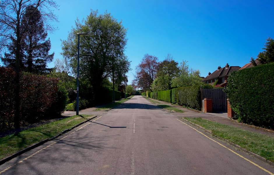 A residential street in Gants Hill with a row of Victorian-style brick houses featuring large windows, some with decorative arches, and pitched roofs. The houses are partially obscured by lush greenery, including well-maintained hedges, small trees, and flowering shrubs along the pavement. The street has a smooth, clean asphalt surface, with a single parked car visible in the distance. To the right, a line of mature trees with vibrant green leaves provides shade over a grassy verge and a park area with a bench, where a few pedestrians are visible enjoying the outdoor space. The sky is clear with bright sunshine, casting shadows on the street and highlighting the textures of the leaves, grass, and brickwork. The scene reflects typical garden maintenance and landscaping work, supported by Gardeners Gants Hill, emphasizing neatness and the healthy condition of the outdoor greenery.